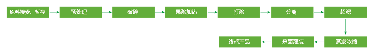 藍莓、草莓、桑葚濃縮汁